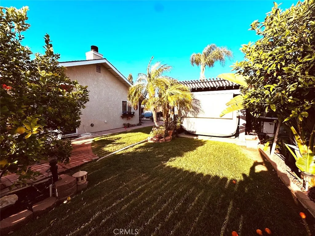 backyard view
