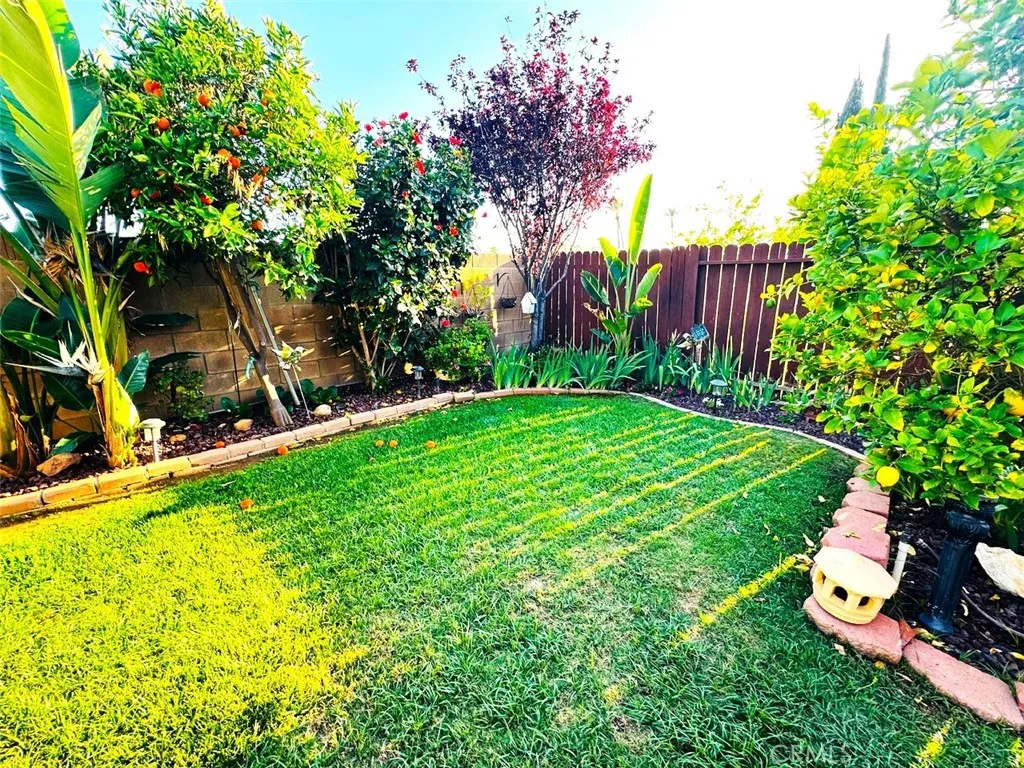 back yard