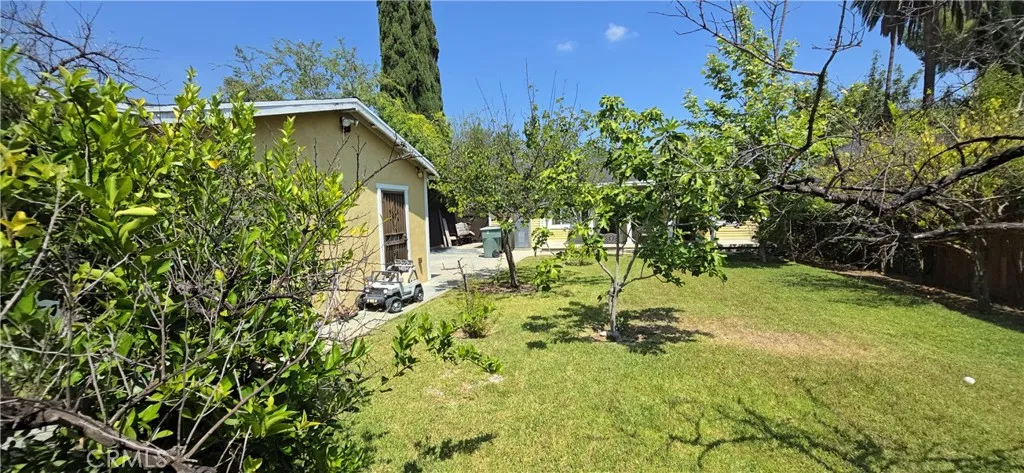 Back yard 4
