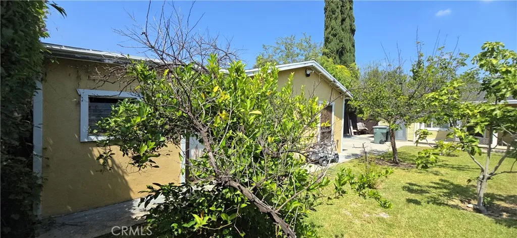 Back yard 6