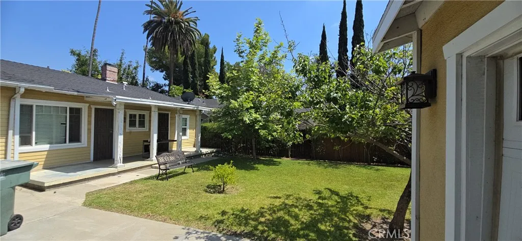 Back Yard 1