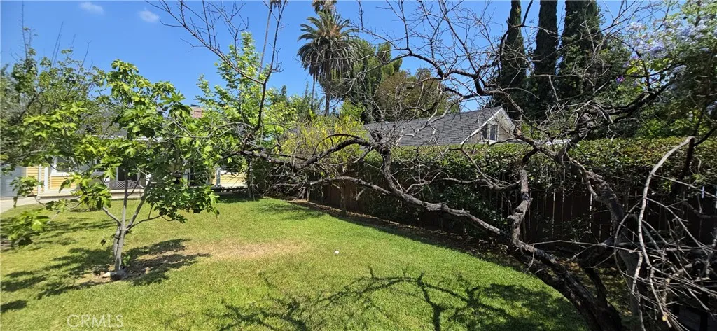 Back yard 3