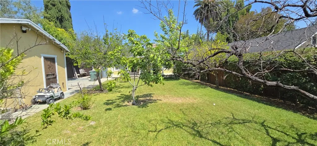 Back yard 5
