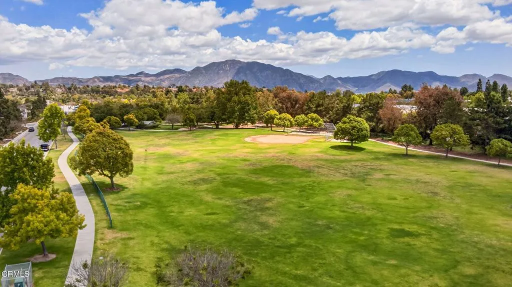 Pitts Park