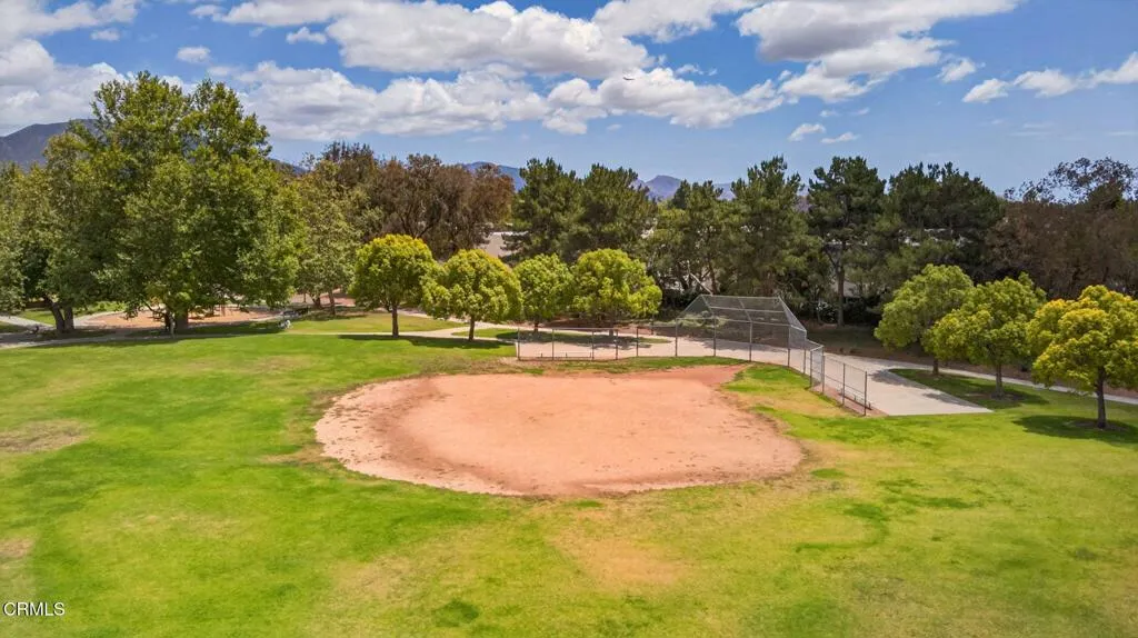 Pitts Park