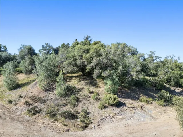 5266 Del Sol, San Andreas, California 95249