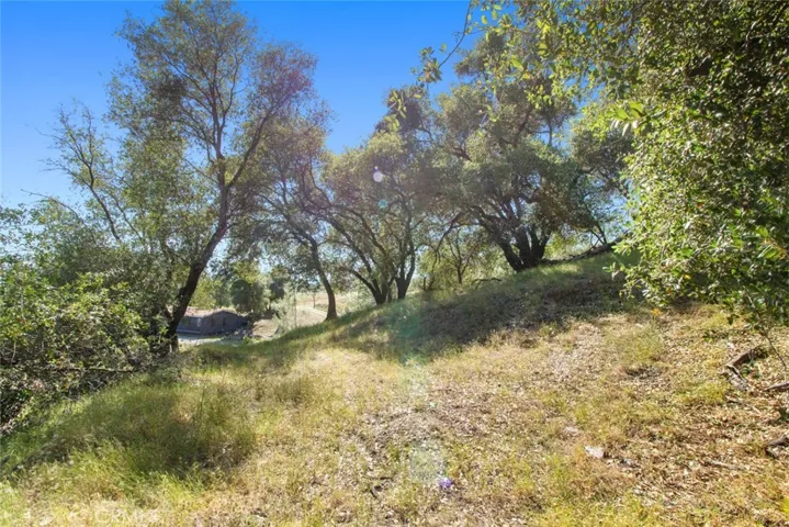 5266 Del Sol, San Andreas, California 95249