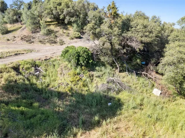 5266 Del Sol, San Andreas, California 95249