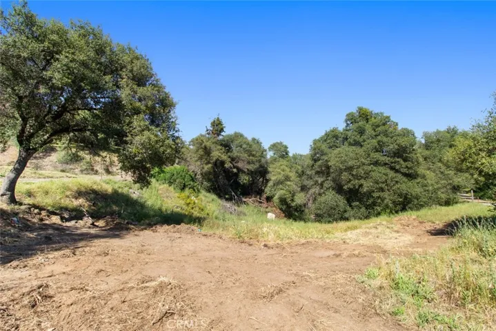 5266 Del Sol, San Andreas, California 95249
