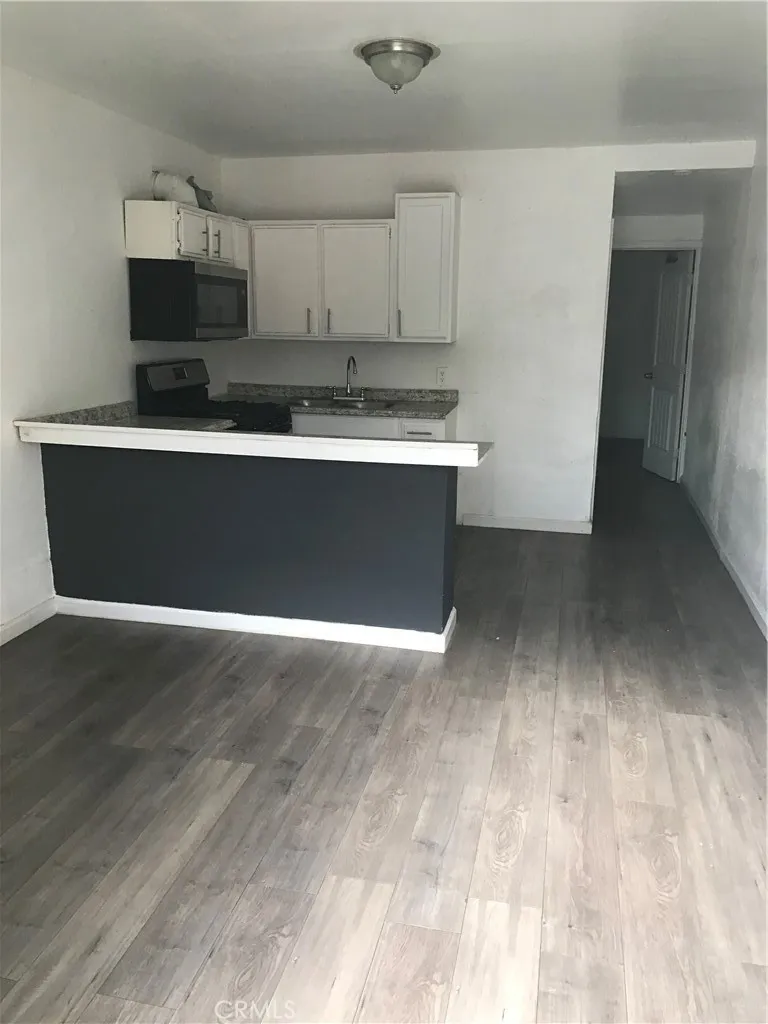 Living area and kitchen.