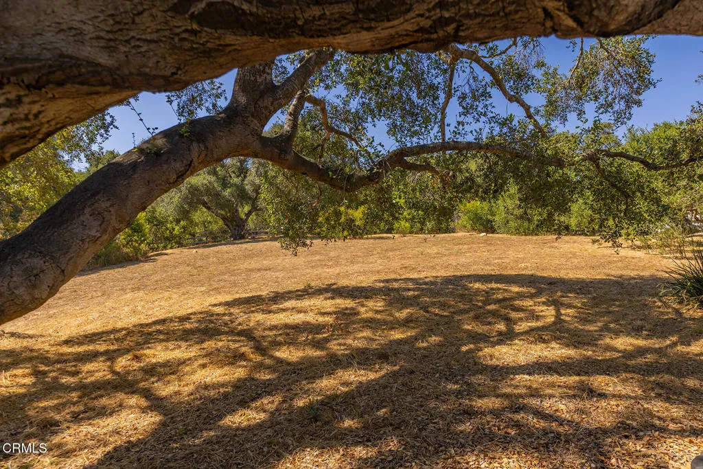 S8C_10622 Encino_010