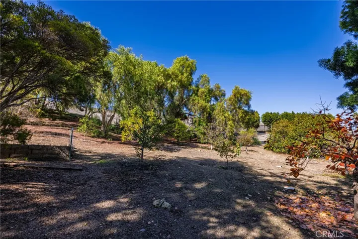 31561 Peppertree Bend, San Juan Capistrano, California 92675