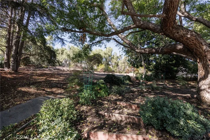 31561 Peppertree Bend, San Juan Capistrano, California 92675