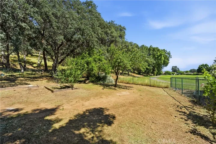 The backyard is a blend of shade trees, fruit trees, and some gardening plots next to the golf course.