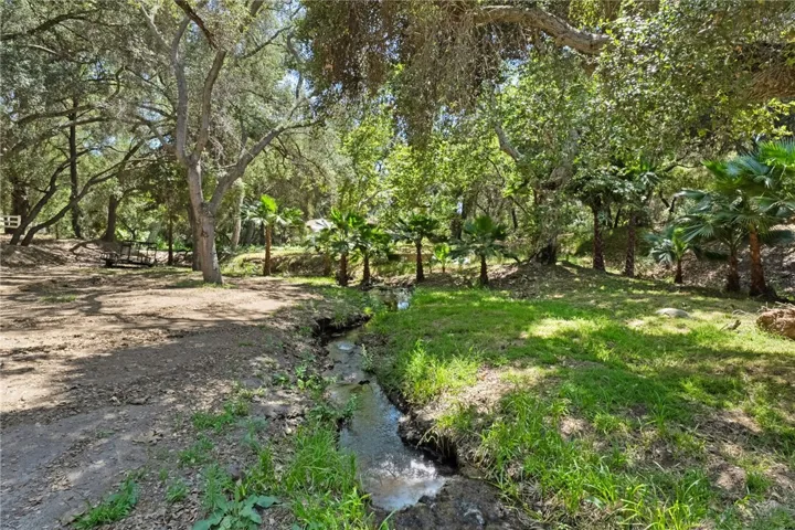 Year-round creek