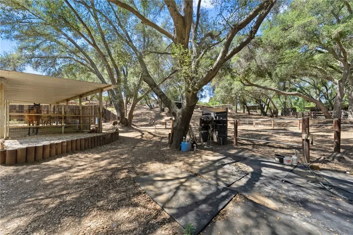 22 horse stalls
