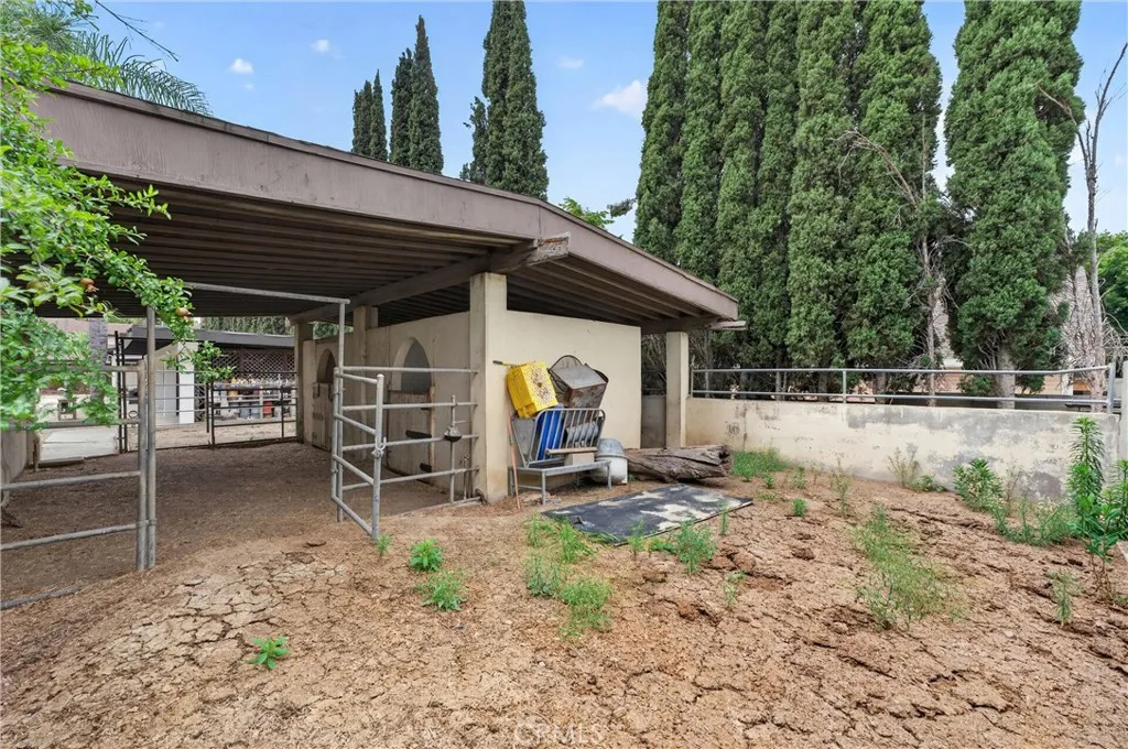 Room for Animals, Toys & Entertaining