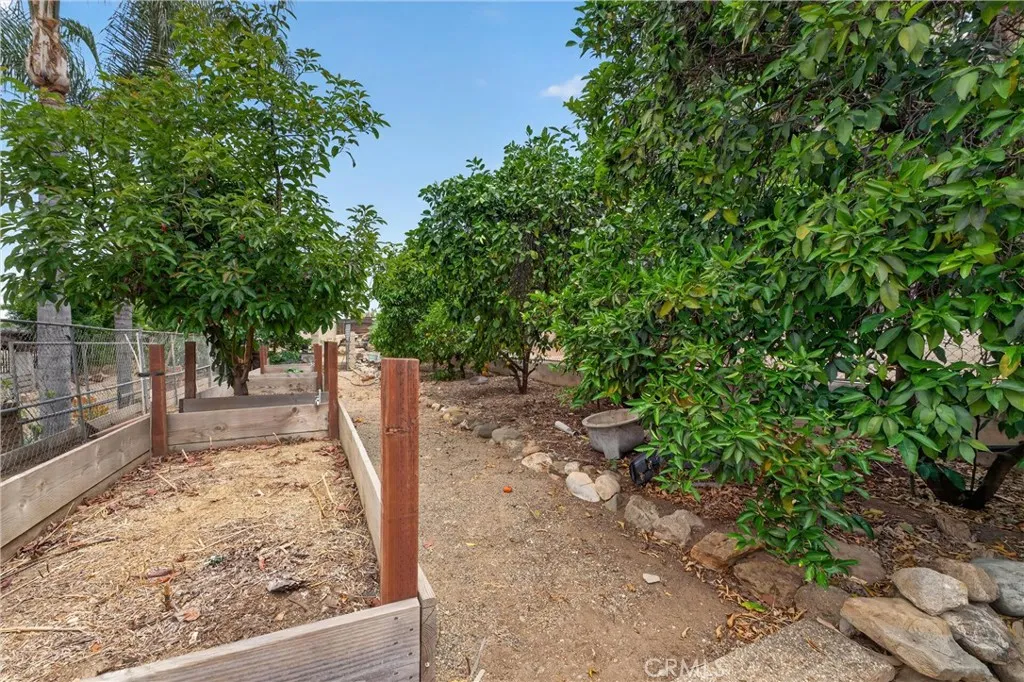 Mature Trees & Landscaping