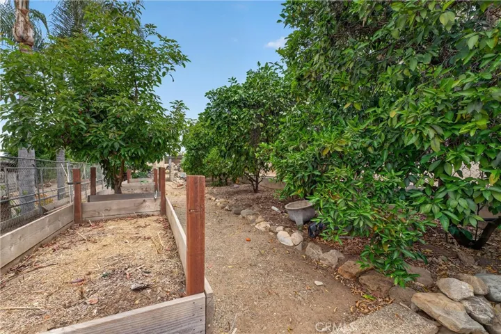 Mature Trees & Landscaping