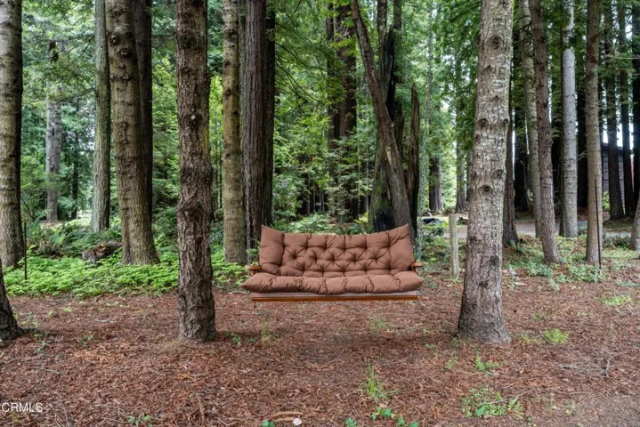 BACKYARD SWING