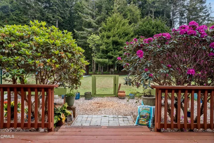 REAR DECK FENCED GARDEN