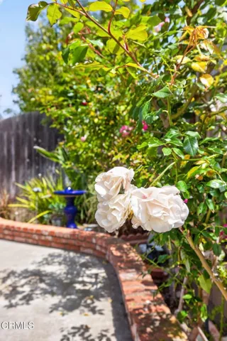 96-web-or-mls-UpmarketMedia-2548Uki-225