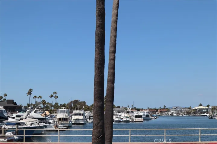 Harbor