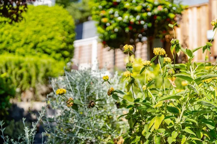 233 Wixon Avenue, Aptos, California 95003