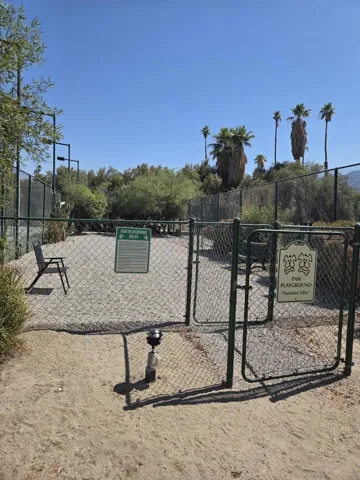Paw Playground