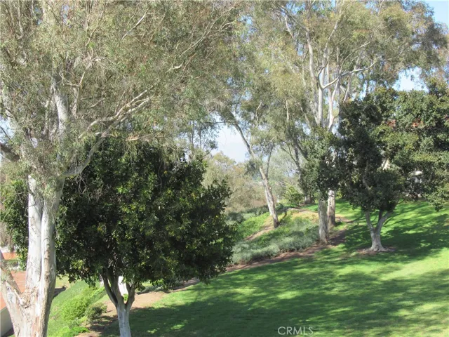 green space
