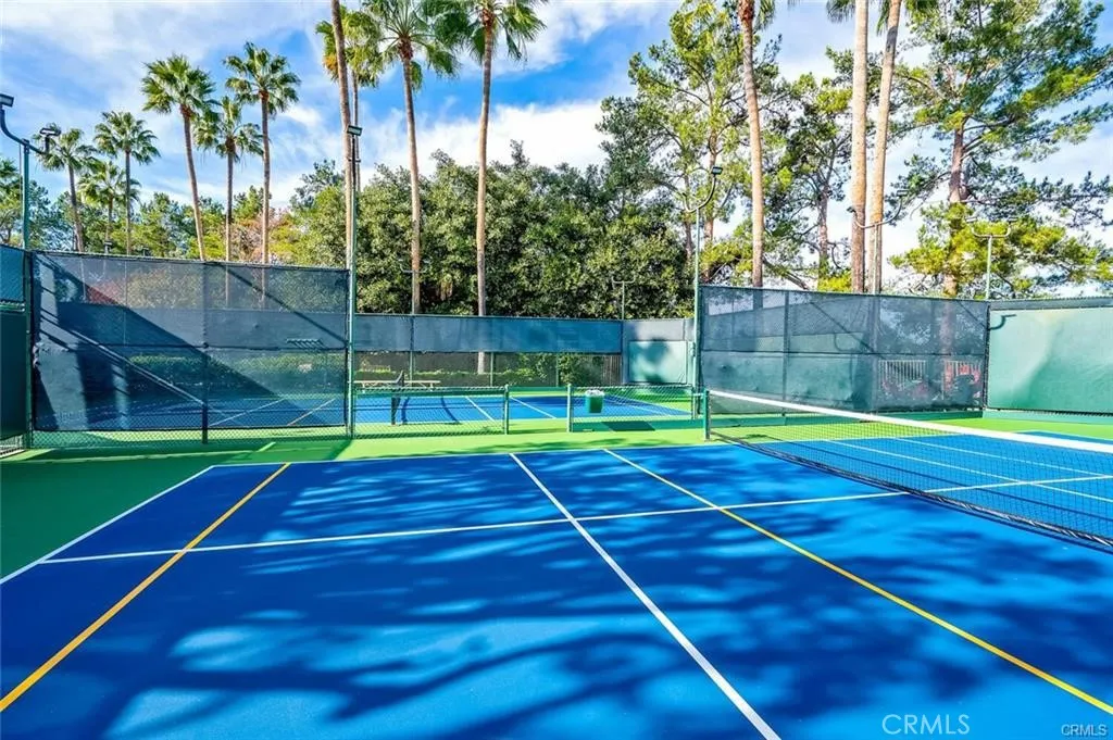 Pickleboard - Tennis Courts