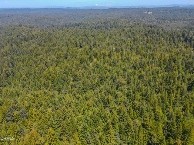 dji_fly_20260511_130504_680_177860259223