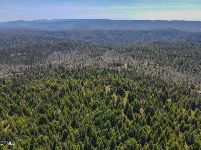 dji_fly_20260511_130616_682_177860258784