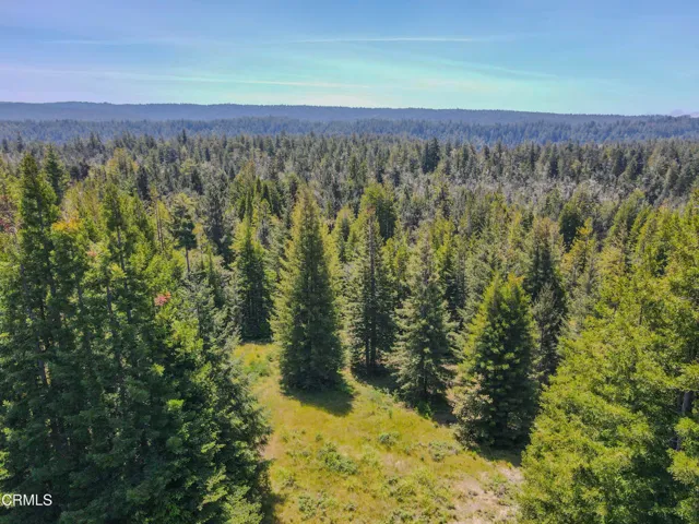 dji_fly_20260511_125852_668_177860261888