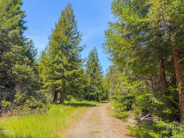 IMG_6398