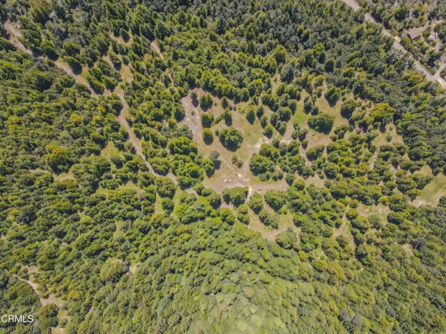 dji_fly_20260511_130038_670_177860261459