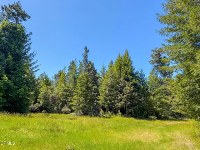 IMG_6494