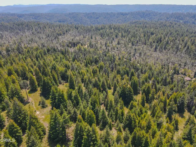 dji_fly_20260511_130530_681_177860258986