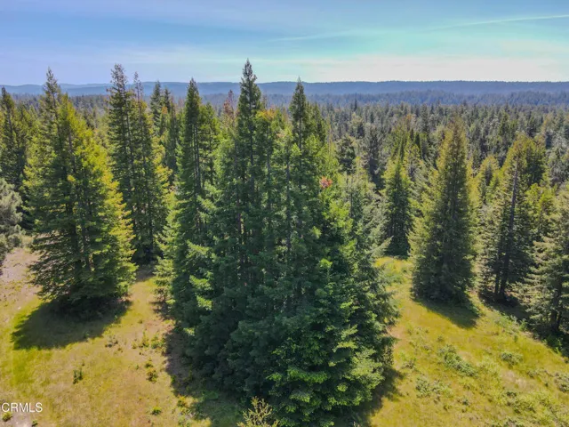 dji_fly_20260511_125842_667_177860262065