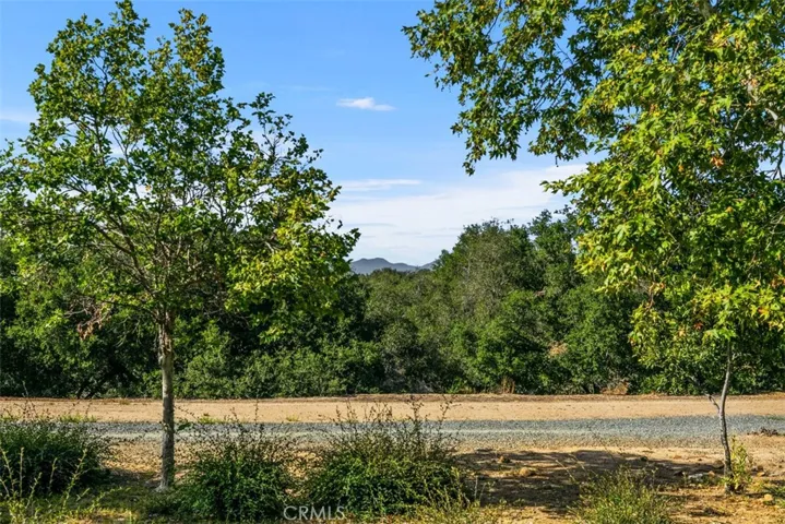 Great walking paths just behind the backyard space