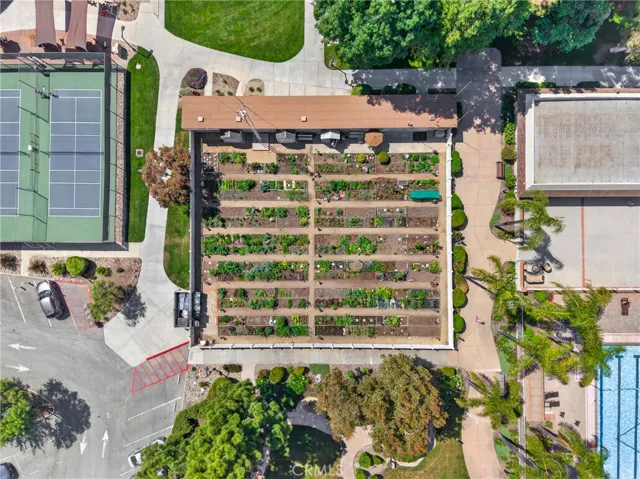 Aerial view of the Garden