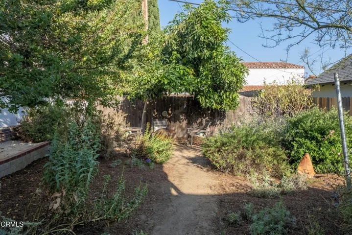 22-Back Yard