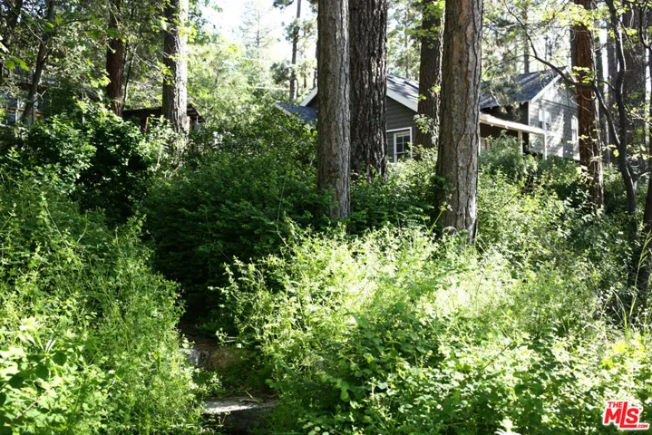 , Idyllwild, California 92549