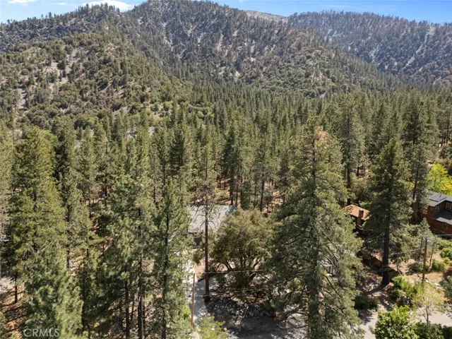 1535 Linnet, Wrightwood, California 92397