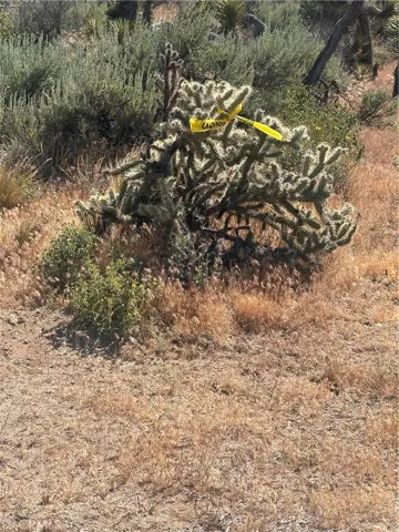 Marking ABOUT one corner.