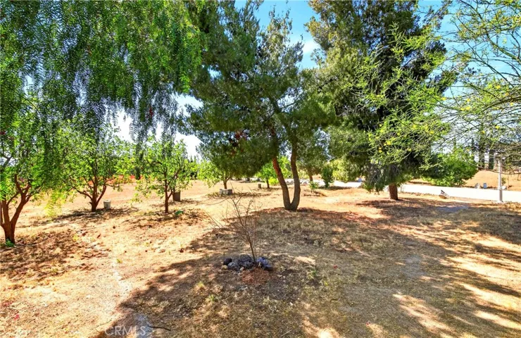 9770 Sunny Vista, Phelan, California 92371