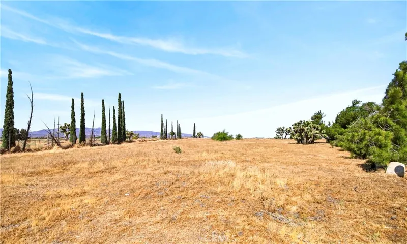 9770 Sunny Vista, Phelan, California 92371