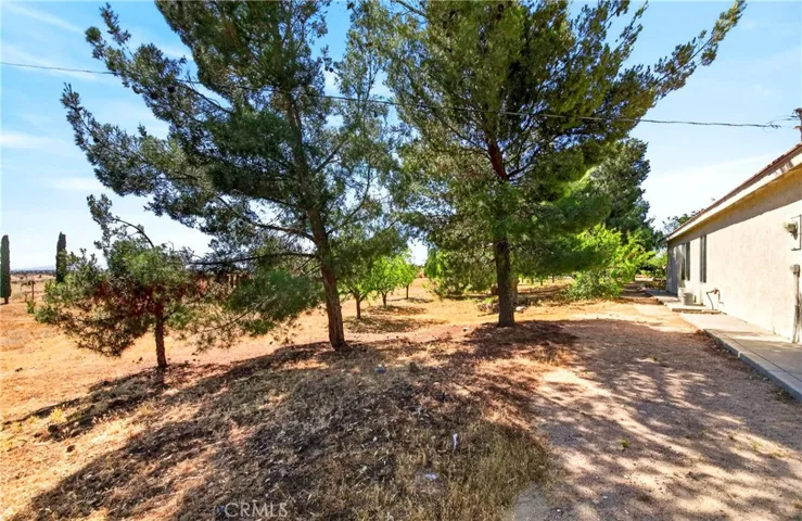 9770 Sunny Vista, Phelan, California 92371