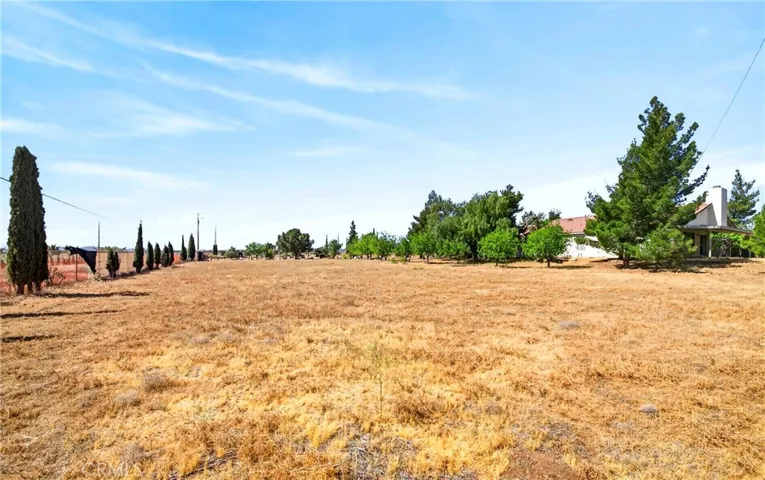 9770 Sunny Vista, Phelan, California 92371