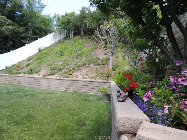 Back Yard - Hill - II